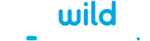 WildTornado