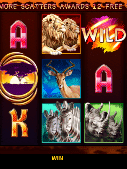 Animals of Africa Slot