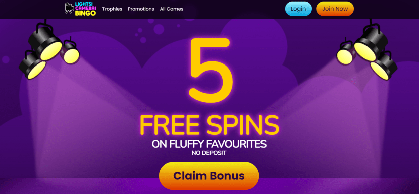 Light Camera Bingo's 5 free spins